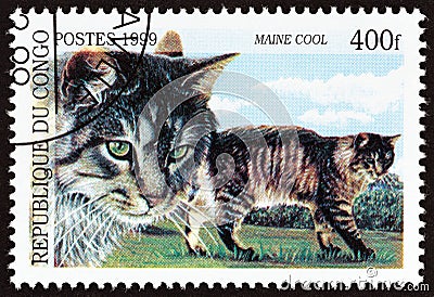 CONGO REPUBLIC - CIRCA 1999: A stamp printed in Congo from the `Cats` issue shows Maine Coon, circa 1999. Editorial Stock Photo