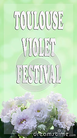 Congratulations on the text at the Toulouse Violet Festival, which takes place in France in February Stock Photo