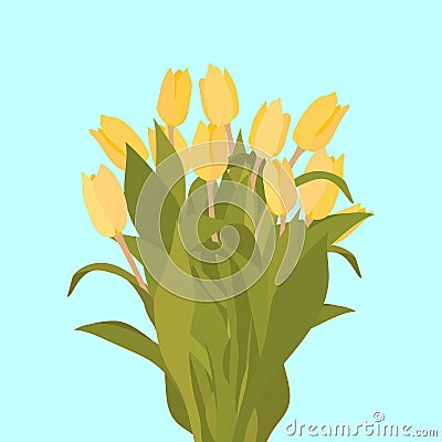 Congratulatory bouquet of yellow tulips painted by hand, on a blue background. Vector Illustration