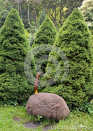 Conic fir-trees grow in a garden Stock Photo