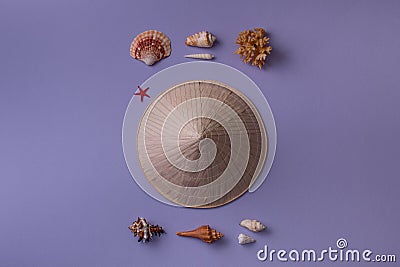 Conic hat and marine things Stock Photo