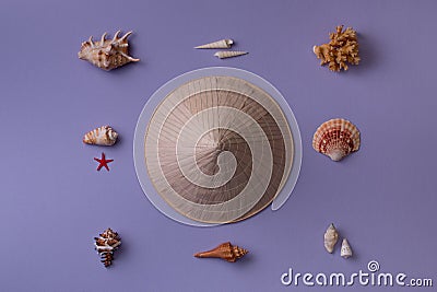 Conic hat and seashells Stock Photo