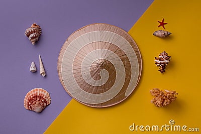 Conic hat with seashells on creative background Stock Photo