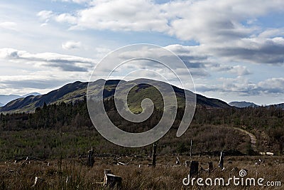 Conic Hill Stock Photo