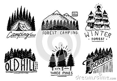 Coniferous forest, mountains and wooden logo. camping and wild nature. landscapes with pine trees and hills. emblem or Vector Illustration