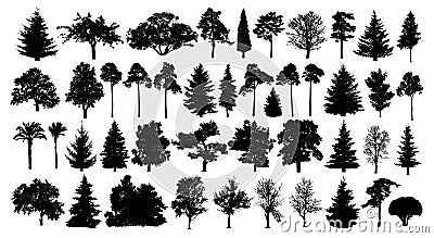 Coniferous forest. Trees set silhouette. Isolated tree on white background. Vector Illustration