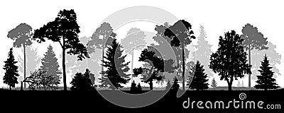 Coniferous natural forest trees set silhouette. Background of nature wood. Vector Illustration