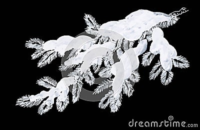 Coniferous pine branch in snow greeting Vector Illustration