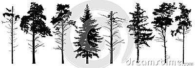 Coniferous set evergreen tree with branches knots sticks in winter. Forest trees silhouette. Isolated vector set. Vector Illustration