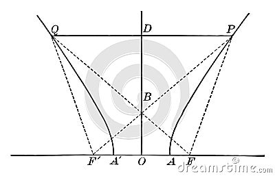 Conjugate Axis of a Hyperbola. vintage illustration Vector Illustration