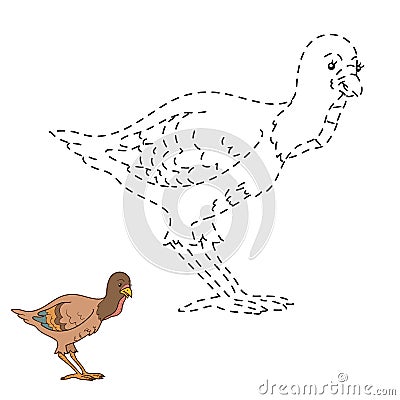 Connect the dots game: farm bird (turkey) Vector Illustration