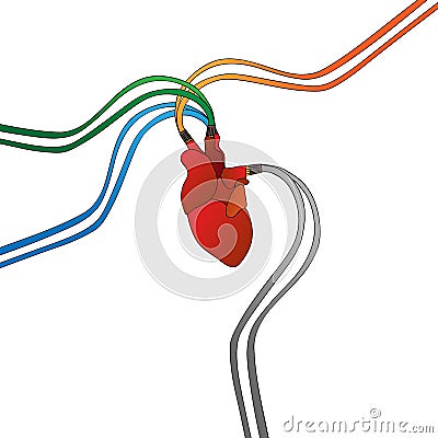Connected artificial heart Stock Photo