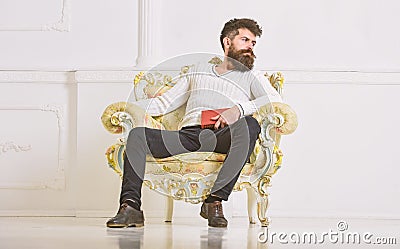 Connoisseur of literature concept. Macho spends leisure with book. Man with beard and mustache sits on armchair and Stock Photo