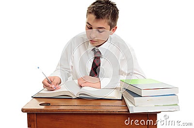 Conscientious school boy student Stock Photo