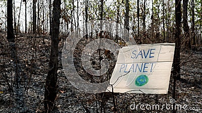 A conservative sentence on cardboard banners in area of the burning forest and firefighters extinguish fires. Stock Photo