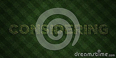 CONSIDERING - fresh Grass letters with flowers and dandelions - 3D rendered royalty free stock image Stock Photo