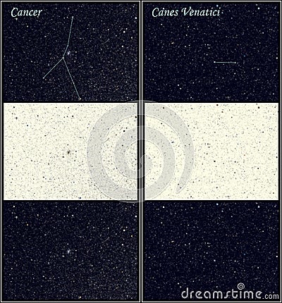 Constellation Cancer Canes Venatici Cartoon Illustration