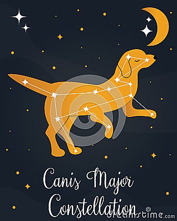 The constellation Canis Major star in the night sky Vector Illustration