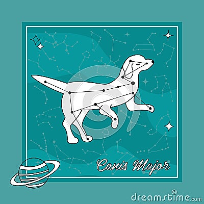 The constellation Canis Major star in the night sky Vector Illustration