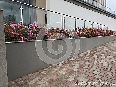 An Constructed concrete block work planter box with Beautiful plants and flowers near staircase entrance and stairs with Stainless Stock Photo