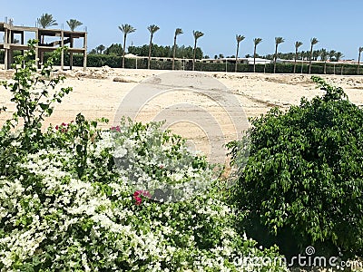 Construction of the hotel, a building against the background of tropical palm trees in the desert under the open sky, tropical, so Stock Photo