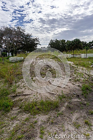 Construction site in Florida abandoned and overgrown Stock Photo
