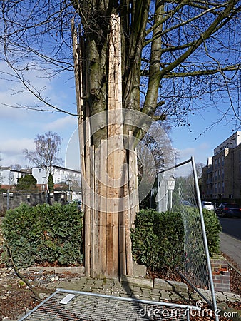 On a construction site, trees are protected from damage with boards. Protect nature. Stock Photo