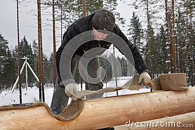 Construction of wooden cottages, Woodworker insulates log wall. Editorial Stock Photo