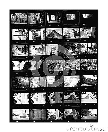 Contact Sheet Black And White Negatives Stock Photo