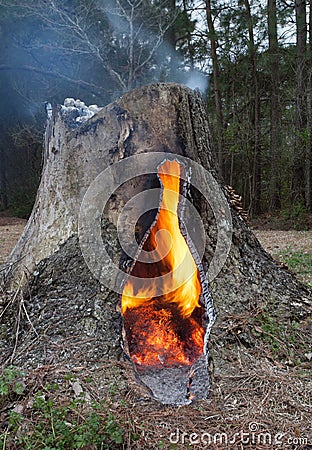 Contained Fire Stock Photography | CartoonDealer.com #43515848