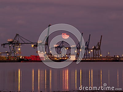 Container Ships Being Loaded at Night Editorial Stock Photo