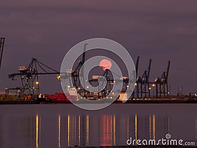 Container Ships Being Loaded at Night Editorial Stock Photo