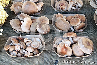 Containers of mushrooms Stock Photo
