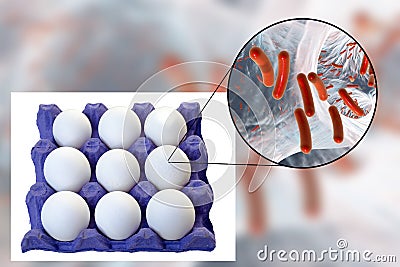 Contamination of eggs with bacteria, medical concept for transmission of food infections through eggs Cartoon Illustration