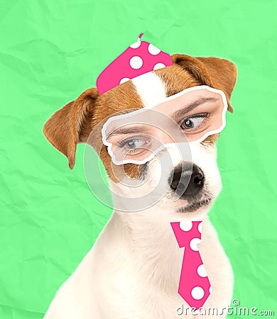 Contemporary art collage. Cute puppy, dog with woman's eyes element isolated over green background Stock Photo