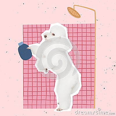 Contemporary art collage of cute, white poodle dog taking shower isolated over pink background Stock Photo