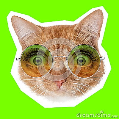 Contemporary artwork collage concept. Portrait of cat with human eyes, magazine style Stock Photo