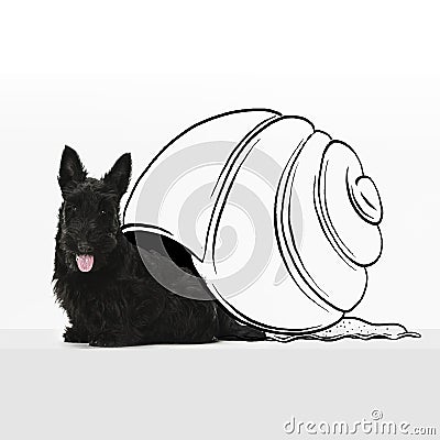 Contemporary artwork. Cute funny black dog like sea snail isolated on white studio background with drawings. Stock Photo