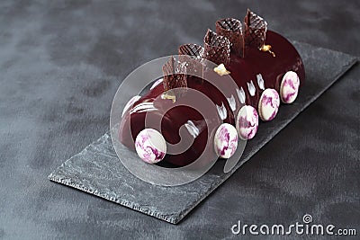 Contemporary Black Currant Chocolate Yule Log Stock Photo