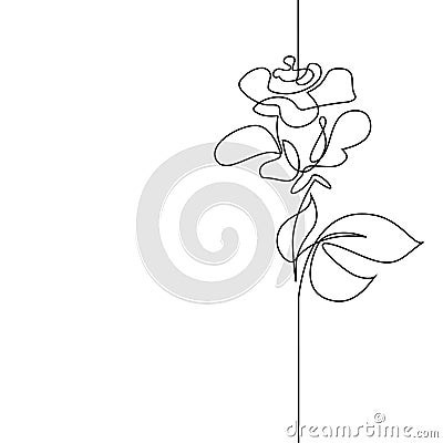 Continuous line drawing of beautiful flower Vector Illustration
