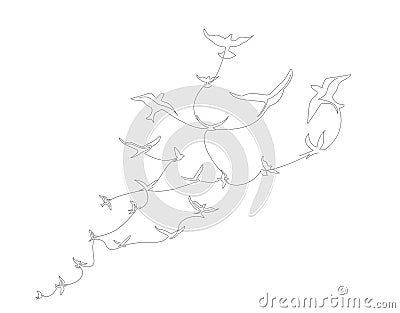 Continuous line drawing with A flock of flying birds. Freedom Line art. Black and White vector design Stock Photo