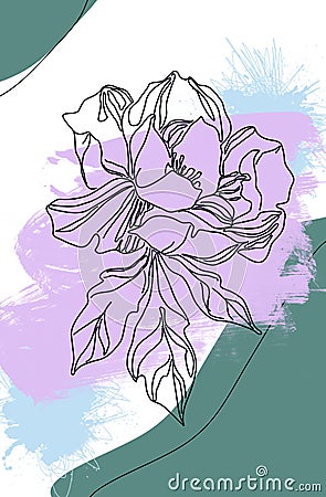 Continuous line drawing of peony flower on viridian and lavender background Cartoon Illustration