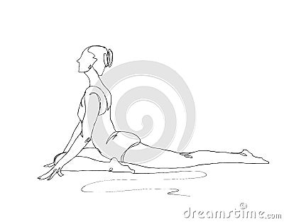 Llustration. Continuous line ink drawing. Sport woman engaged in yoga on white background. Stock Photo