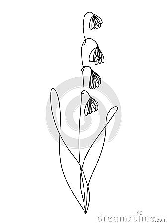 Continuous line lily of the valley flower 3 Convallaria Majalis Asparagaceae Vector Illustration