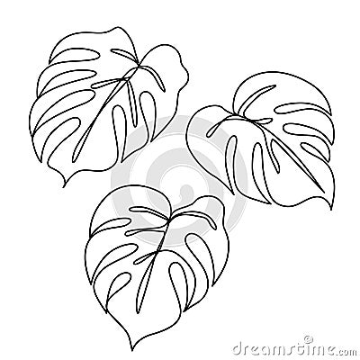 Continuous line monstera leaf. Tropical leaves contour drawing Vector Illustration