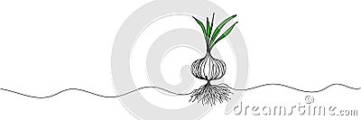 Continuous line onion for grocery store, printing on posters and banners. Vector illustration . Vector Illustration