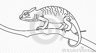 Continuous one line drawing of chameleon crawling along a tree branch vector design Vector Illustration