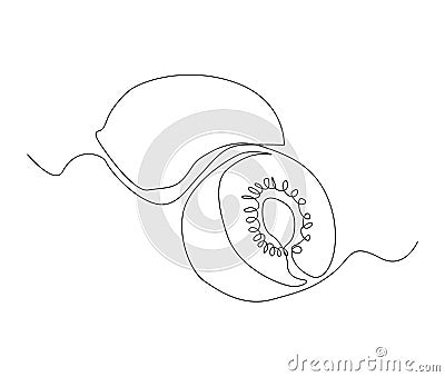 Continuous one line drawing of kiwi fruit with leaf. Qiwi fruit hand drawn single line art vector illustration Cartoon Illustration