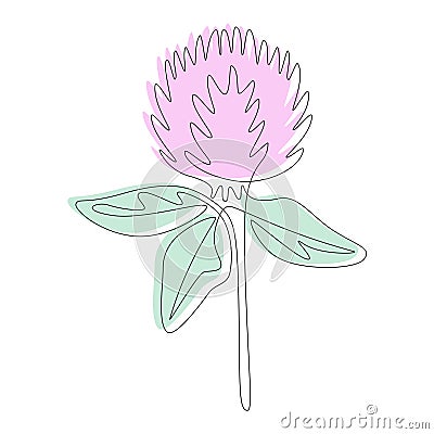 Continuous one line drawing of red clover, vector meadow Trifolium pratense. Minimalistic Doodle style with abstract Vector Illustration