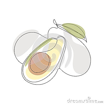 Continuous one line drawing. Vegetables three avocado. Vector illustration.Editable line. Minimal abstract art. Black Vector Illustration